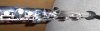 Bottom of Horn.jpg Bottom of Horn.jpg