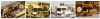 Screenshot_1.png Screenshot_1.png