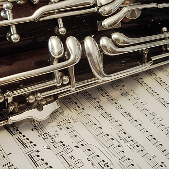 Media 'My bassoon.

Fox Renard 222 with High D-Key for those curious. It's not professional, but it does it for me!' in album 'My Instruments'